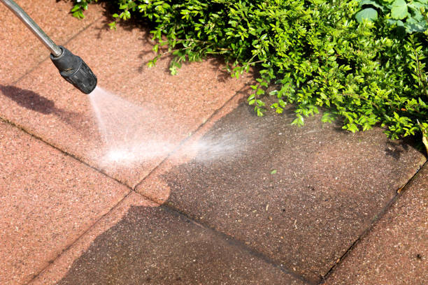 Best Pressure Washing Siding  in Benwood, WV